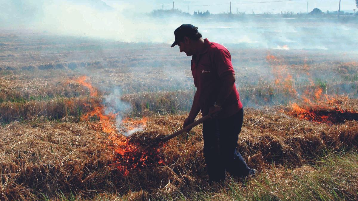 Un agricultor de la Ribera Baixa quema la paja del arroz.