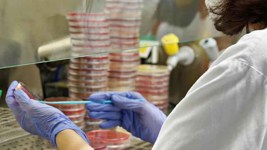 Una persona analitzant proves de PCR als laboratoris de l&#039;hospital de Palamós |