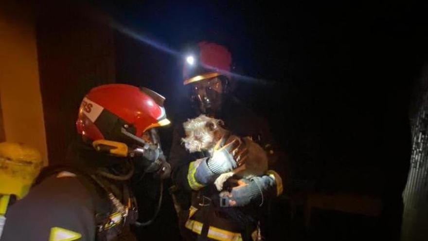 Bomberos extinguen un incendio en una vivienda de Altura de donde rescatan a un perro con vida