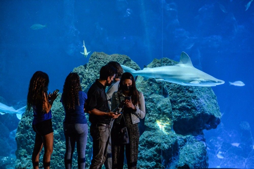 Los turistas visitan el acuario Poema del Mar