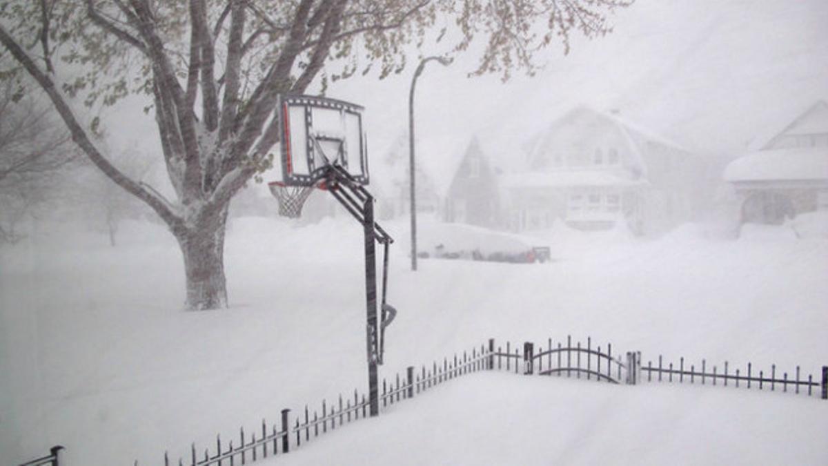 Nevada en Buffalo, el pasado martes.