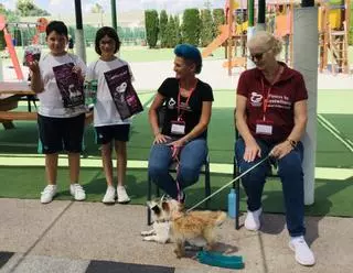 Recaudación de fondos y apadrinamiento de animales: ELIS Villamartín se vuelca con el voluntariado solidario