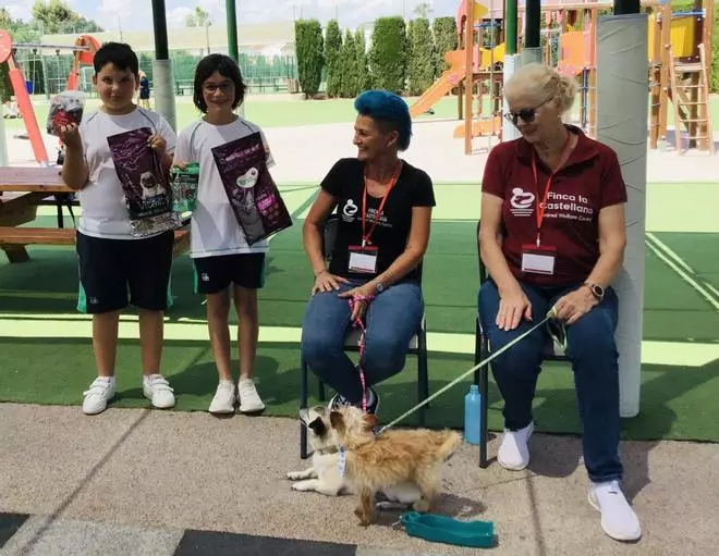 Recaudación de fondos y apadrinamiento de animales: ELIS Villamartín se vuelca con el voluntariado solidario