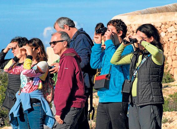 Leuchtfeuer Wachtürme Mallorca