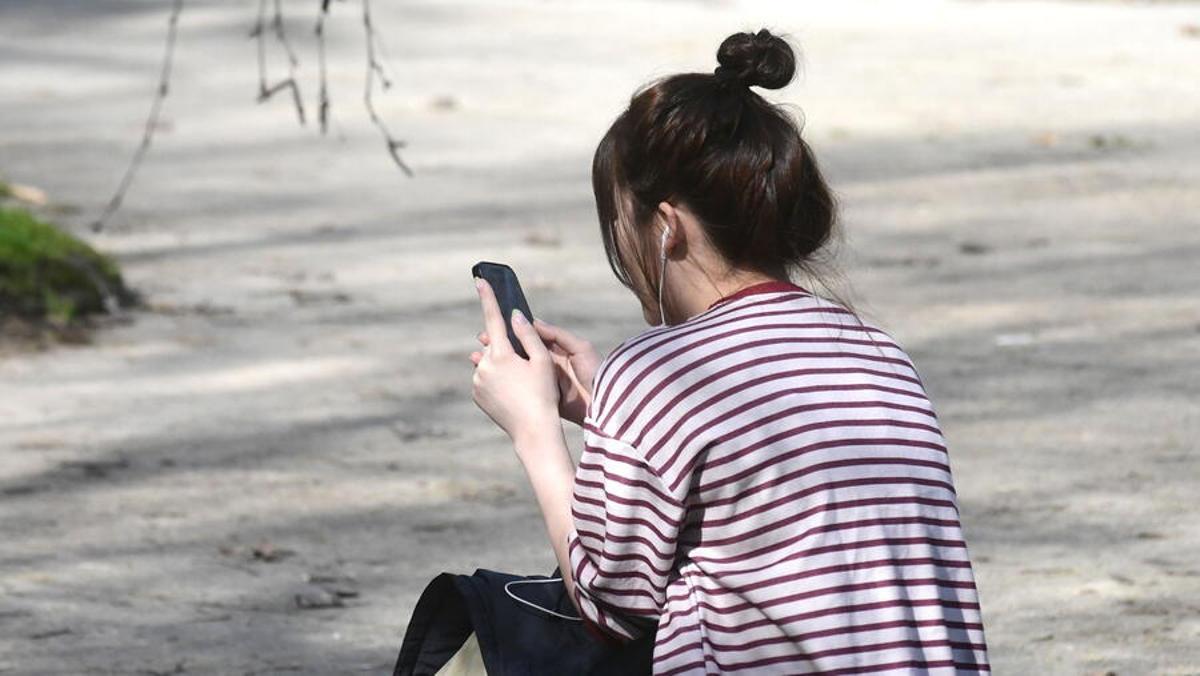 Las votaciones se realizaron de forma telemática