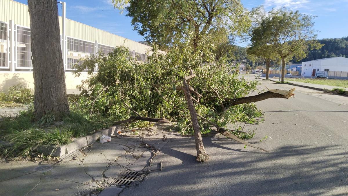 El temporal asociado a la borrasca Kristin ha dejado imágenes de impacto en Xàtiva, las rachas de viento han alcanzado niveles huracanados