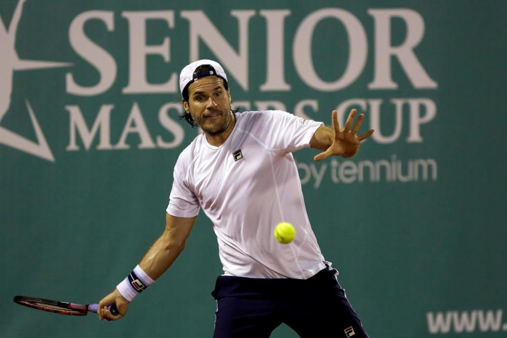 DAVID FERRER- TOMMY HAAS