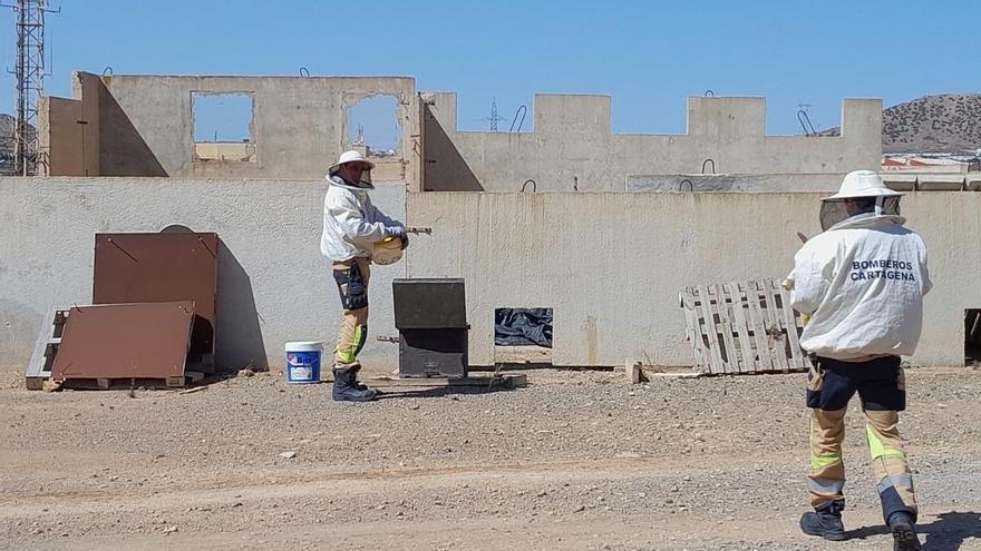 Los bomberos de Cartagena actúan contra los enjambres de abejas