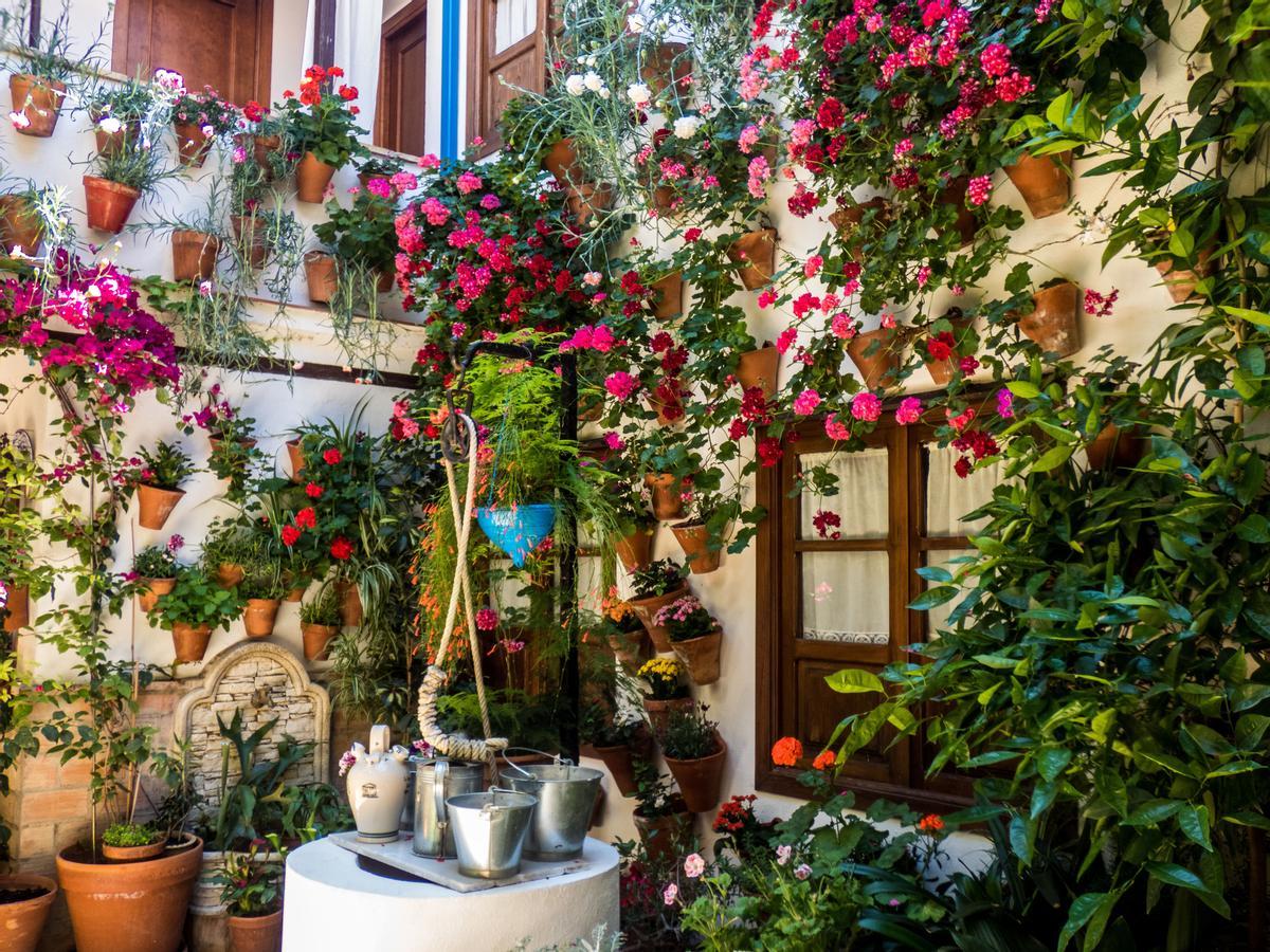 El Festival de los Patios decora las fachadas blancas durante la primera quincena de mayo cada año