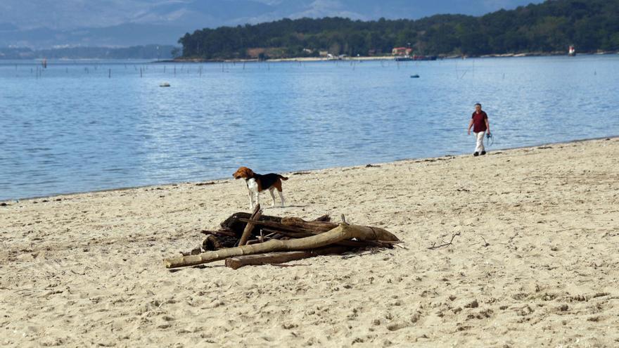 Aspectos a mejorar para que O Salnés haga pleno en playas excelentes