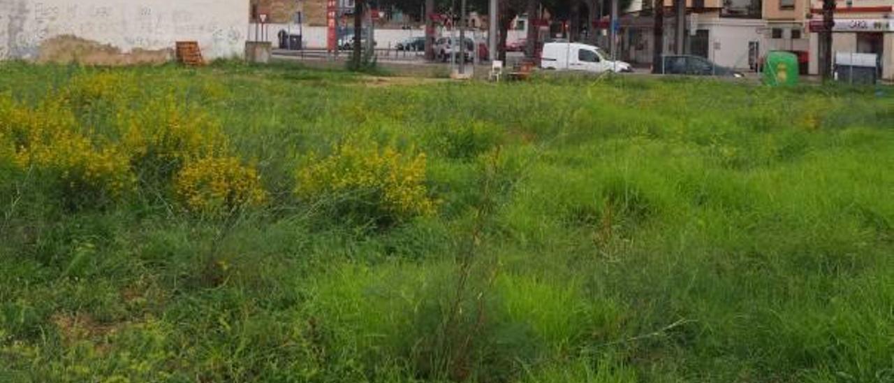 El solar que ofrecía la Entitat Valenciana d&#039;Habitatge junto al bloque de la calle Sueca de Alzira.