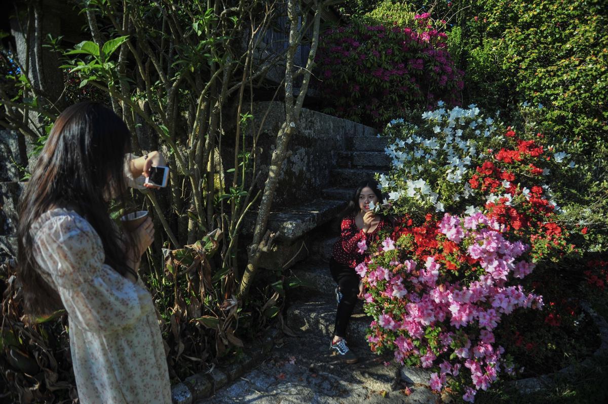 Dos jóvenes toman fotografías junto a un arbusto en flor en Quinteiro da Cruz