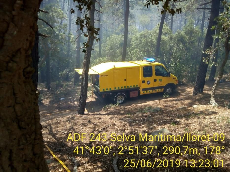 Incendi forestal en una urbanització de Lloret