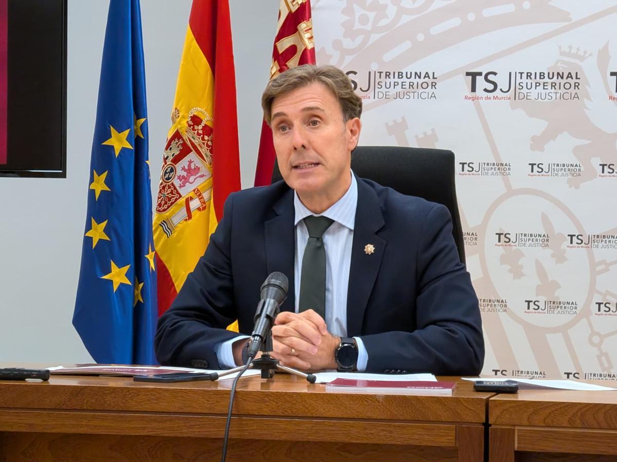Manuel Luna, durante su comparecencia este martes.