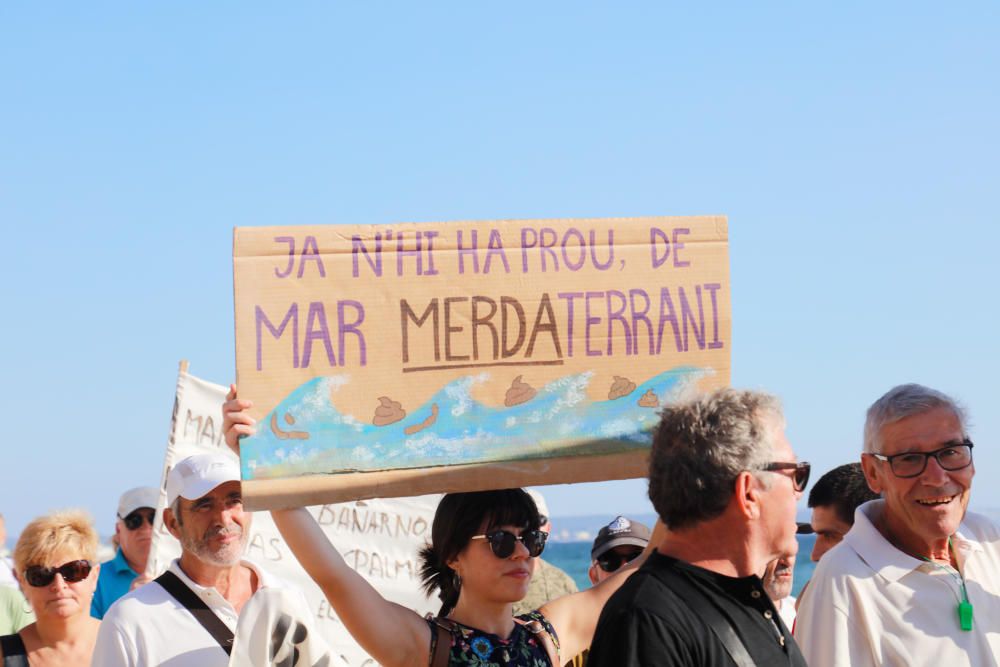 Demo für saubere Strände in Palma de Mallorca