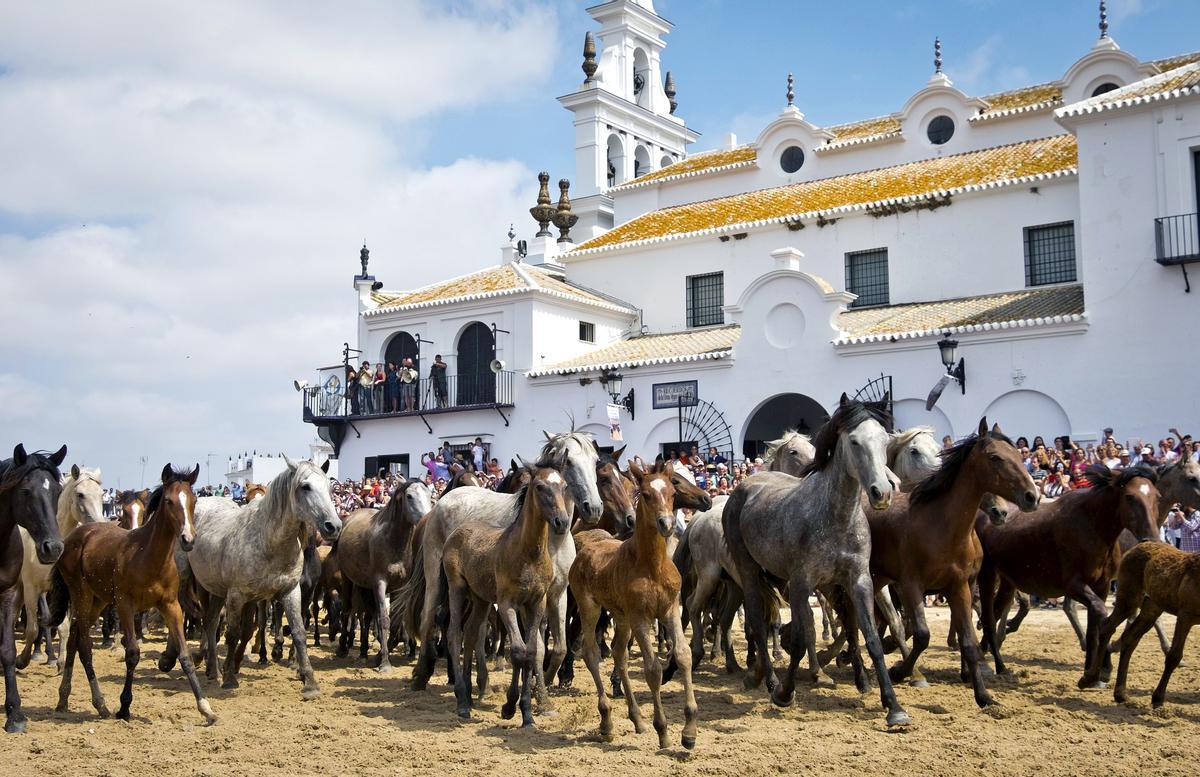 GRA484. HUELVA, 26/06/2016.- Un grupo de yeguas pasa ante la ermita de la Virgen del Rocío durante la tradional &quot;Saca de Yeguas&quot; que se celebra en Almonte (Huelva). Han pasado 512 años desde que en 1504 el Duque de Medina Sidonia regularizara la 'Saca de las Yeguas, una tradición ancestral a la que los &quot;yegüerizos&quot; de Almonte (Huelva) han dado perdurabilidad en el tiempo permitiendo, cada año, que la esencia de Doñana traspase sus límites. EFE / Julián Pérez