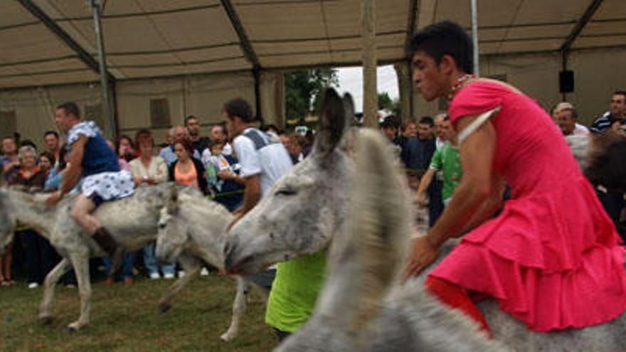 Salida de la carrera de burros, ayer, en Pañeda.