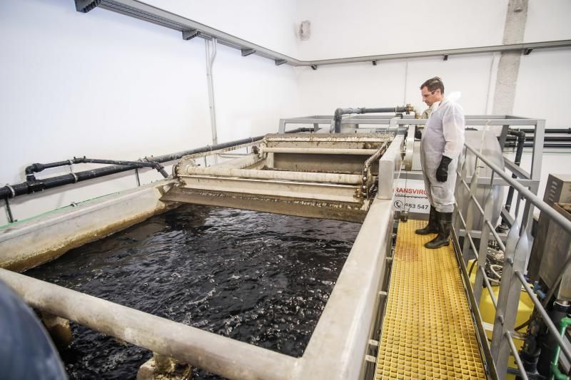 Las Palmas de Gran Canaria . Planta de tratamiento de aguas de Transvirgin  | 06/02/2020 | Fotógrafo: José Carlos Guerra