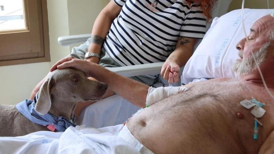 Cures pal·liatives de l'hospital de Blanes permeten l’entrada de les mascotes canines
