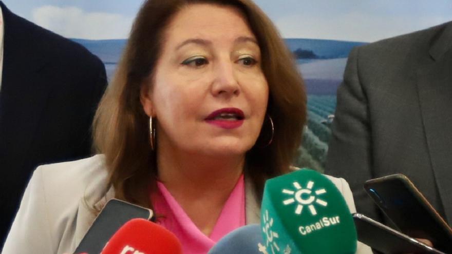 La Junta vuelve a pedir al Gobierno central la conexión Puente Nuevo-Sierra Boyera