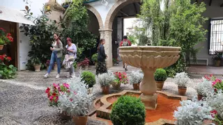El Palacio de Viana acoge la nueva exposición colectiva de la Asociación de Fotógrafas Cordobesas