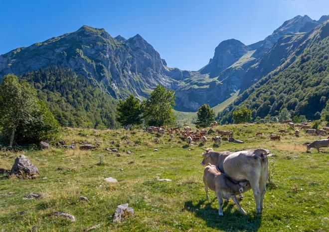 Pirineo, LLeida, Ecoturismo