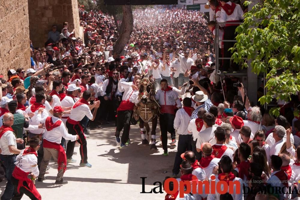 Carrera de los Caballos del Vino