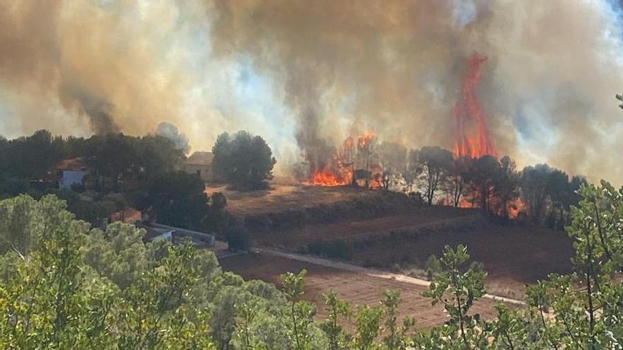 Vistas del incendio de Carlet.