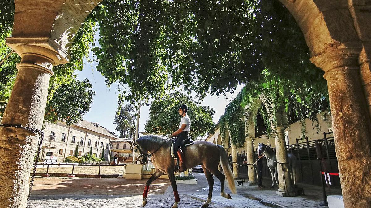 Un jinete montado a caballo, en el patio central de Caballerizas Reales.