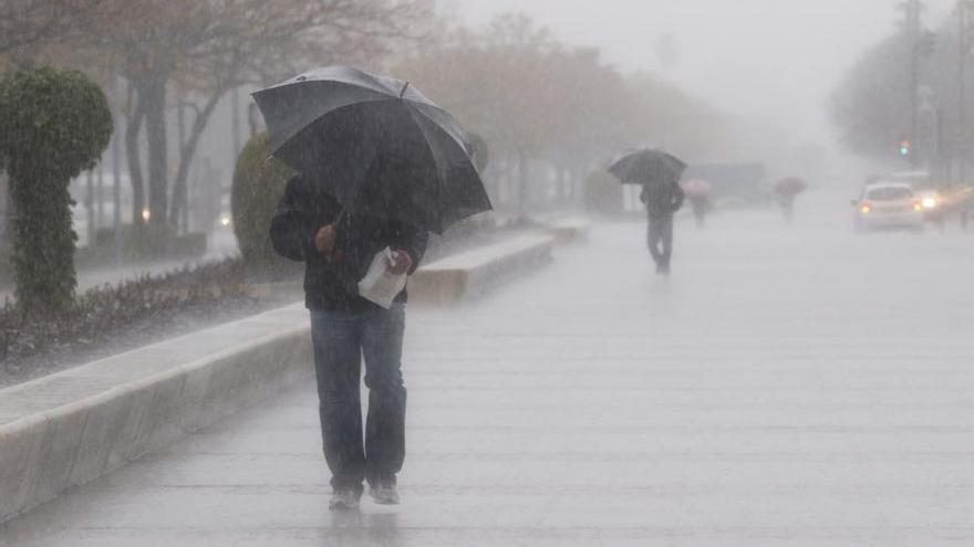 Más de 1.500 incidencias por el temporal de lluvia y viento en Andalucía