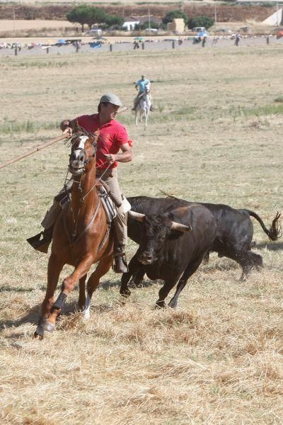 Fiestas en Zamora: Segudos espantes de Fuentesaúco