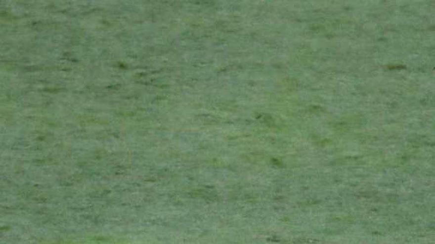 El capitán de la Roja, Sergio Ramos, abatido tras perder ante Rusia.