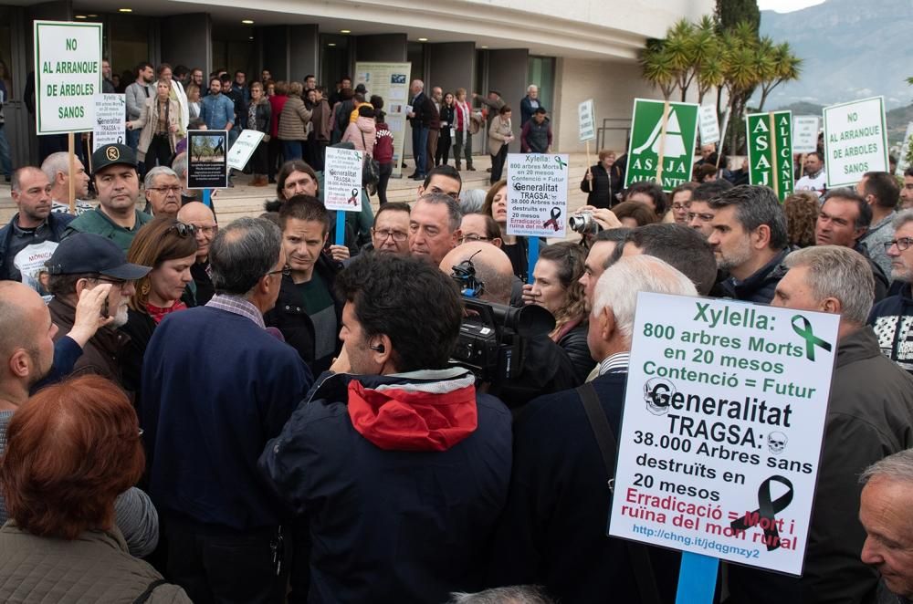 Manifestación por la Xylella en Altea