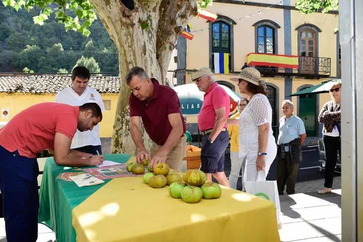 Fiesta de la manzana de Valleseco