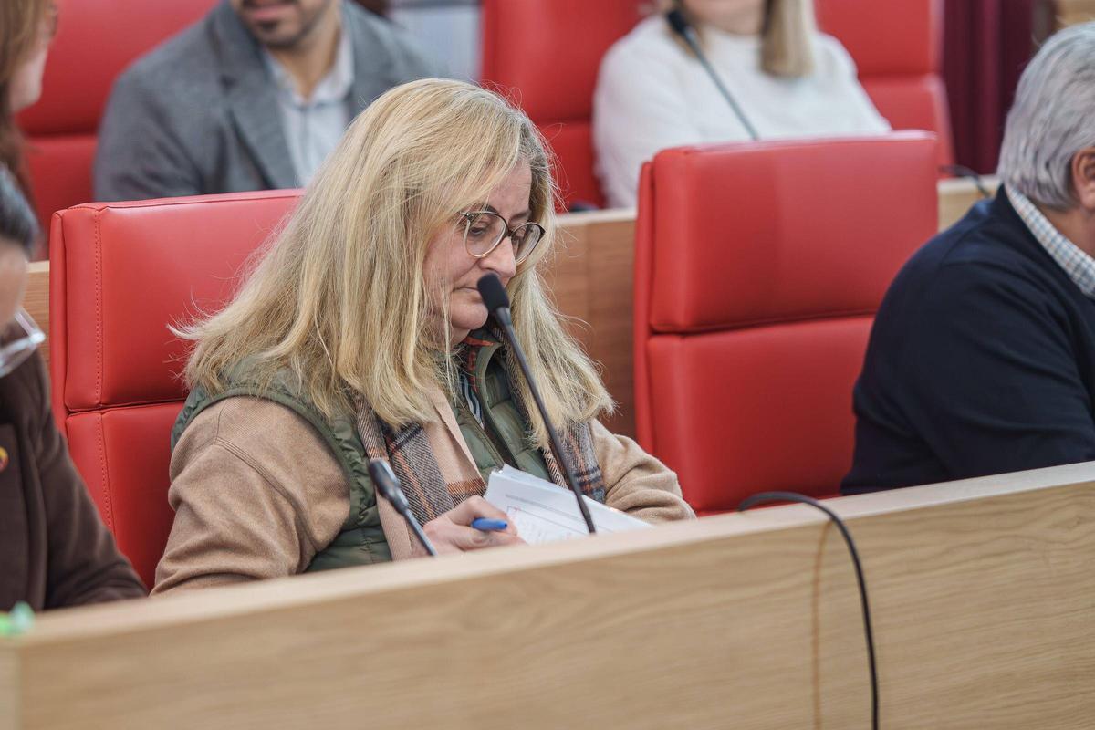 La sesión plenaria en el Ayuntamiento de Mérida se ha prolongado durante más de dos horas.