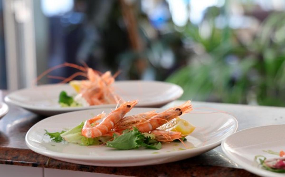 Gamba blanca fresca de Calpe cocida.