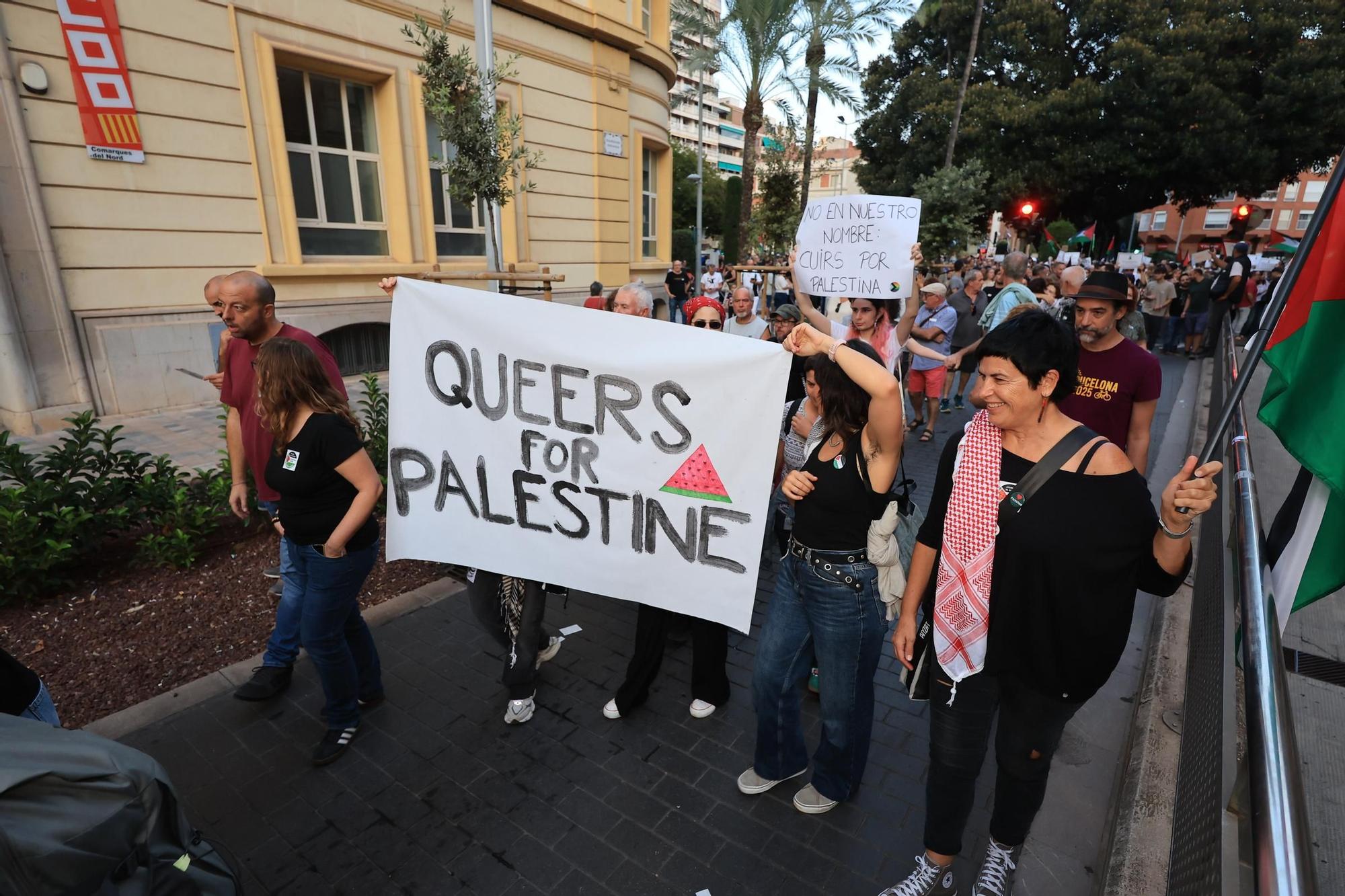 Galería de imágenes: Castellón sale a la calle en defensa de Palestina