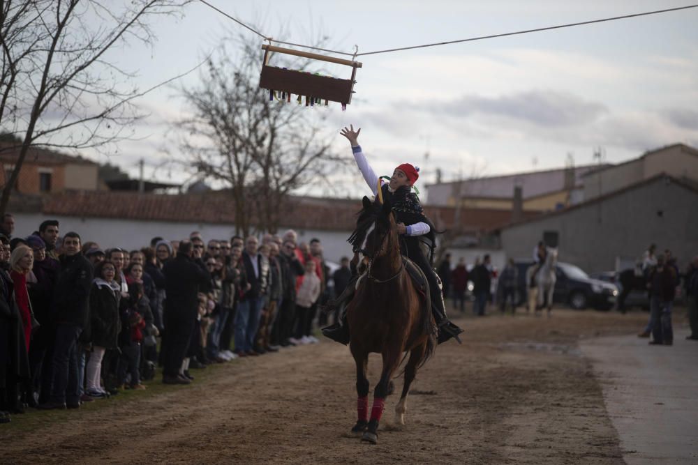 Carrera de cintas de Torres del Carrizal