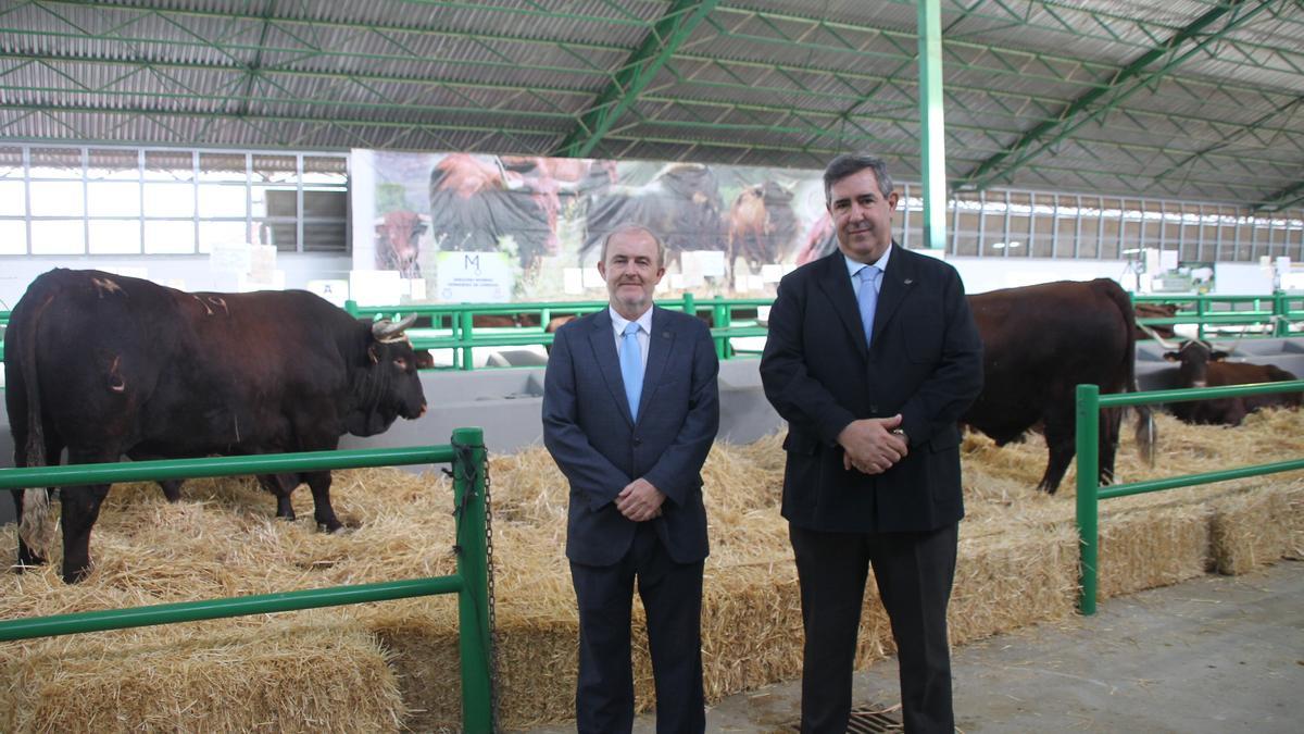 José Antonio Pérez, secretario ejecutivo y Gregorio Moreno Fernández de Córdova, presidente de la raza retinta.