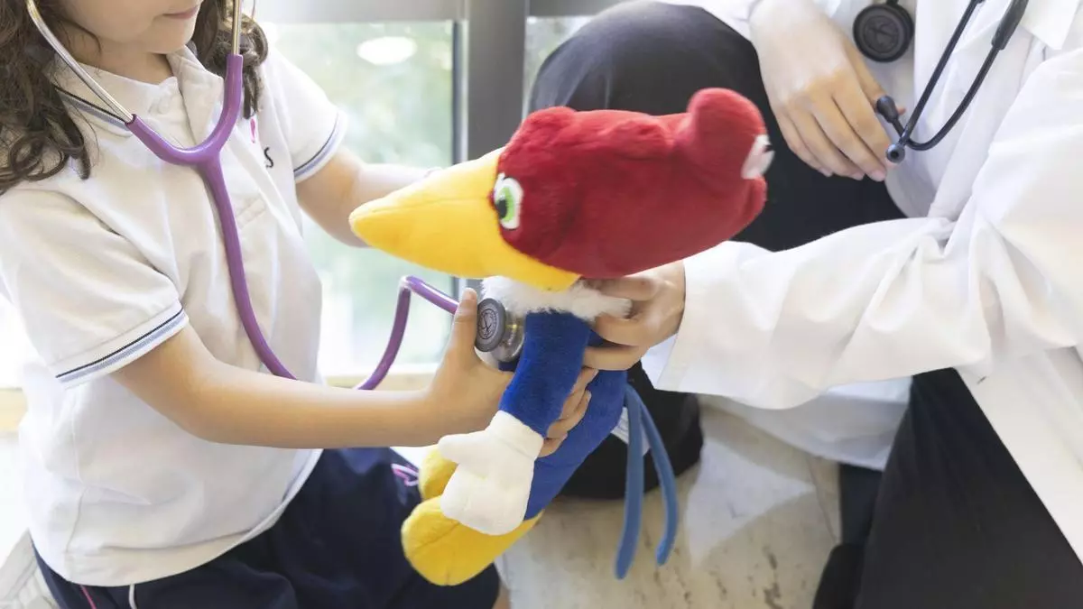 Los futuros médicos de Alicante "curan" peluches