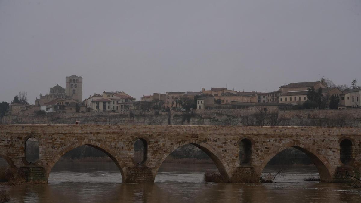 El deshielo y la lluvia elevan el nivel del río Duero en Zamora