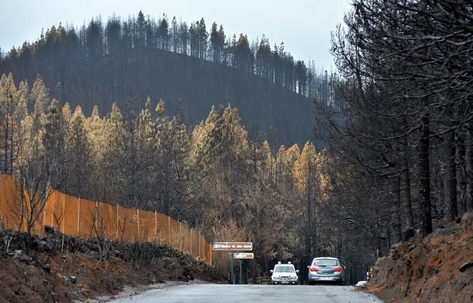 INCENDIO CUMBRE GRAN CANARIA