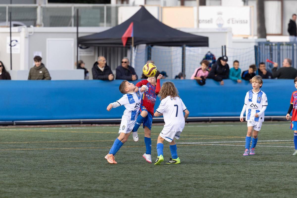 Galería: Torneo Fibwi en Sant Antoni Galería: Torneo Fibwi en Sant Antoni