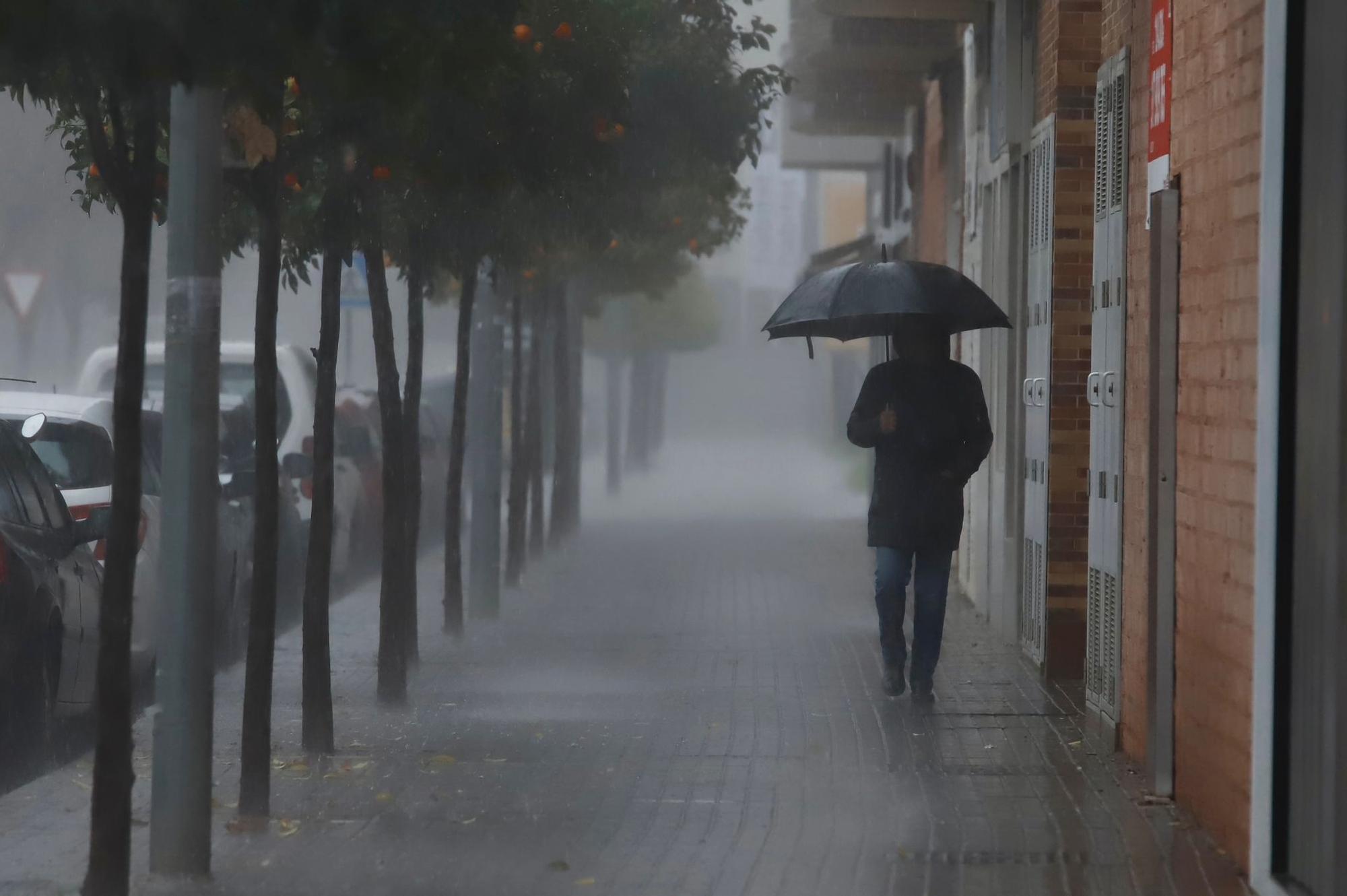 Caen en Córdoba más de 40 litros en doce horas