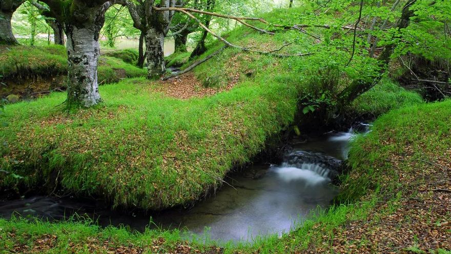 Un recorrido por leyendas, cascadas y tradiciones en Gorbeia