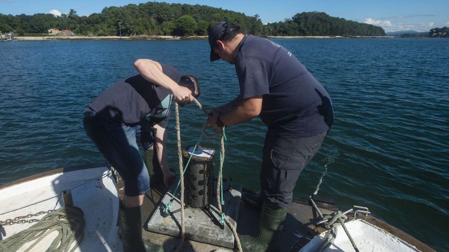 La Universidad confirma la «muy buena» calidad del agua del Ulla