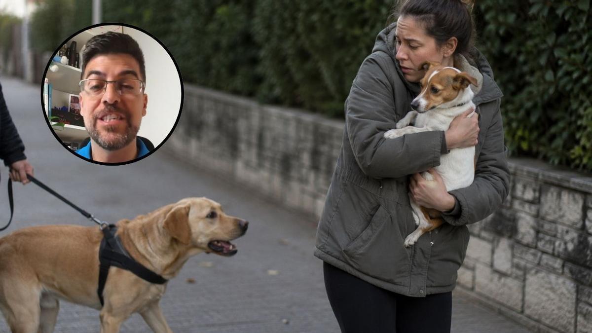 Educar a un perro es una labor difícil