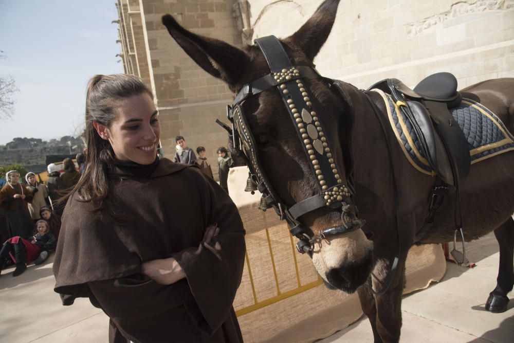 Totes les fotos de la Fira de l''Aixada 2020