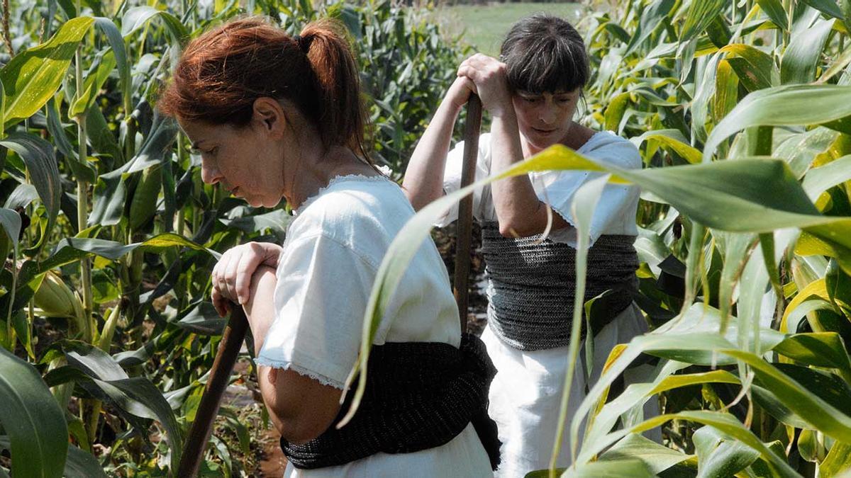 Un fotograma del film que recrea el trabajo agrícola que también realizaban las protagonistas de la historia.