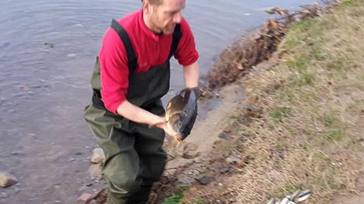 Un hombre saca un pez muerto del río Besòs